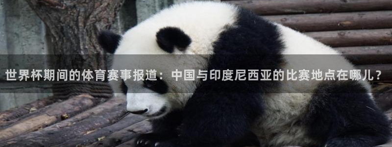 世界杯足球赛2026：世界杯期间的体育赛事报道：中国与印度尼西亚的比赛地点在哪儿？