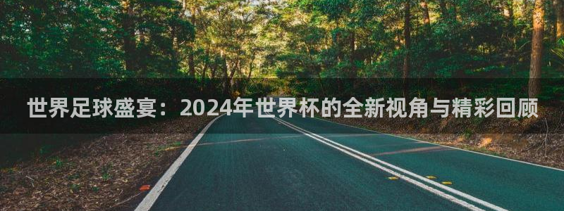 世界杯2026赛程：世界足球盛宴：2024年世界杯的全新视角与精彩回顾