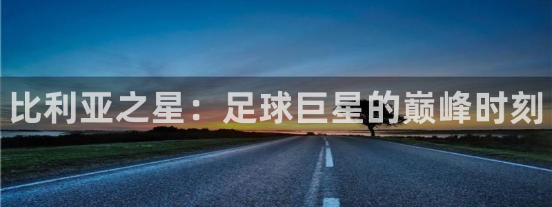 世界杯系列赛：比利亚之星：足球巨星的巅峰时刻