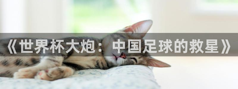 女足世界杯直播：《世界杯大炮：中国足球的救星》