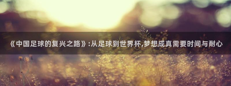 2006年世界杯冠军：《中国足球的复兴之路》:从足球到世界杯,梦想成真需要时间与耐心