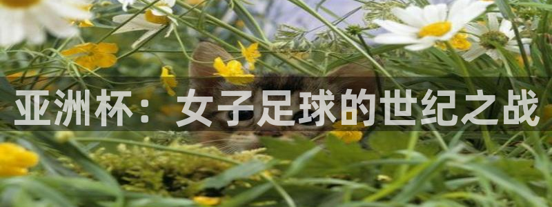 2026世界杯中国队：亚洲杯：女子足球的世纪之战