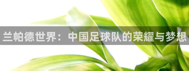 亚洲杯足球：兰帕德世界：中国足球队的荣耀与梦想