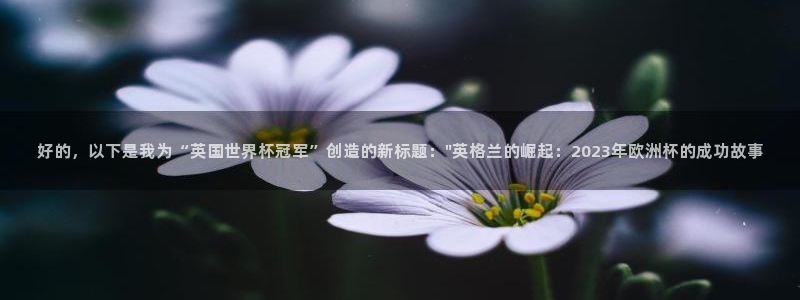 世界杯预选赛欧洲赛区赛程：好的，以下是我为“英国世界杯冠军”创造的新标题：\