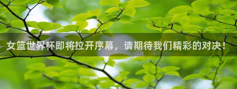 世界杯足球直播：女篮世界杯即将拉开序幕，请期待我们精彩的对决！
