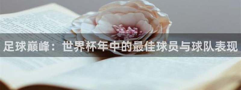 世界杯预选赛欧洲赛区积分榜:足球巅峰:世界杯年中的最佳球员与球队表现