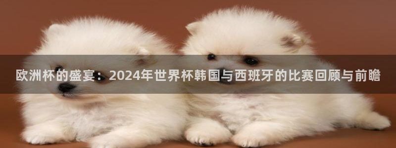 世界杯在线直播入口：欧洲杯的盛宴：2024年世界杯韩国与西班牙的比赛回顾与前瞻