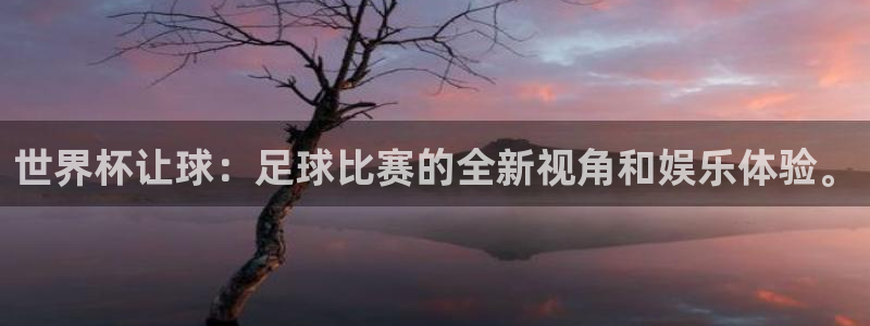 世界杯预选赛规则：世界杯让球：足球比赛的全新视角和娱乐体验。