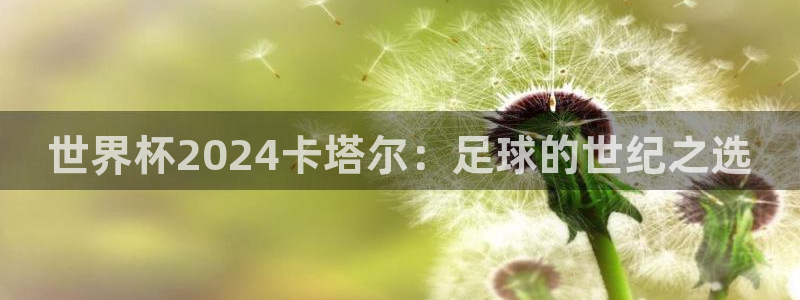 世界杯直播：世界杯2024卡塔尔：足球的世纪之选