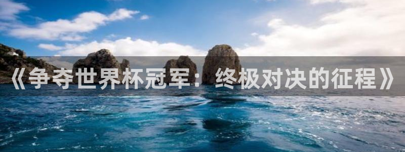 世界杯附加赛赛程表：《争夺世界杯冠军：终极对决的征程》