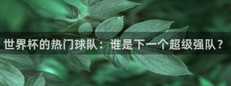 世界杯2026赛程：世界杯的热门球队：谁是下一个超级强队？
